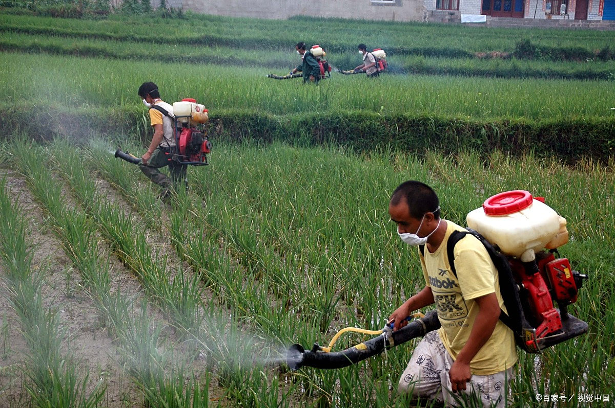 除虫- 热门商品专区