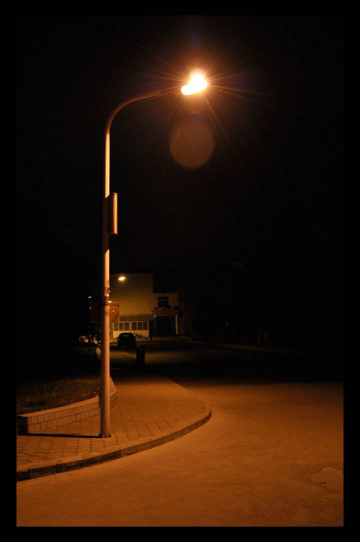 冷冻加工 - 热门商品专区