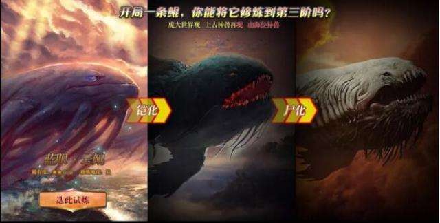 今天你的鲲进化了么?