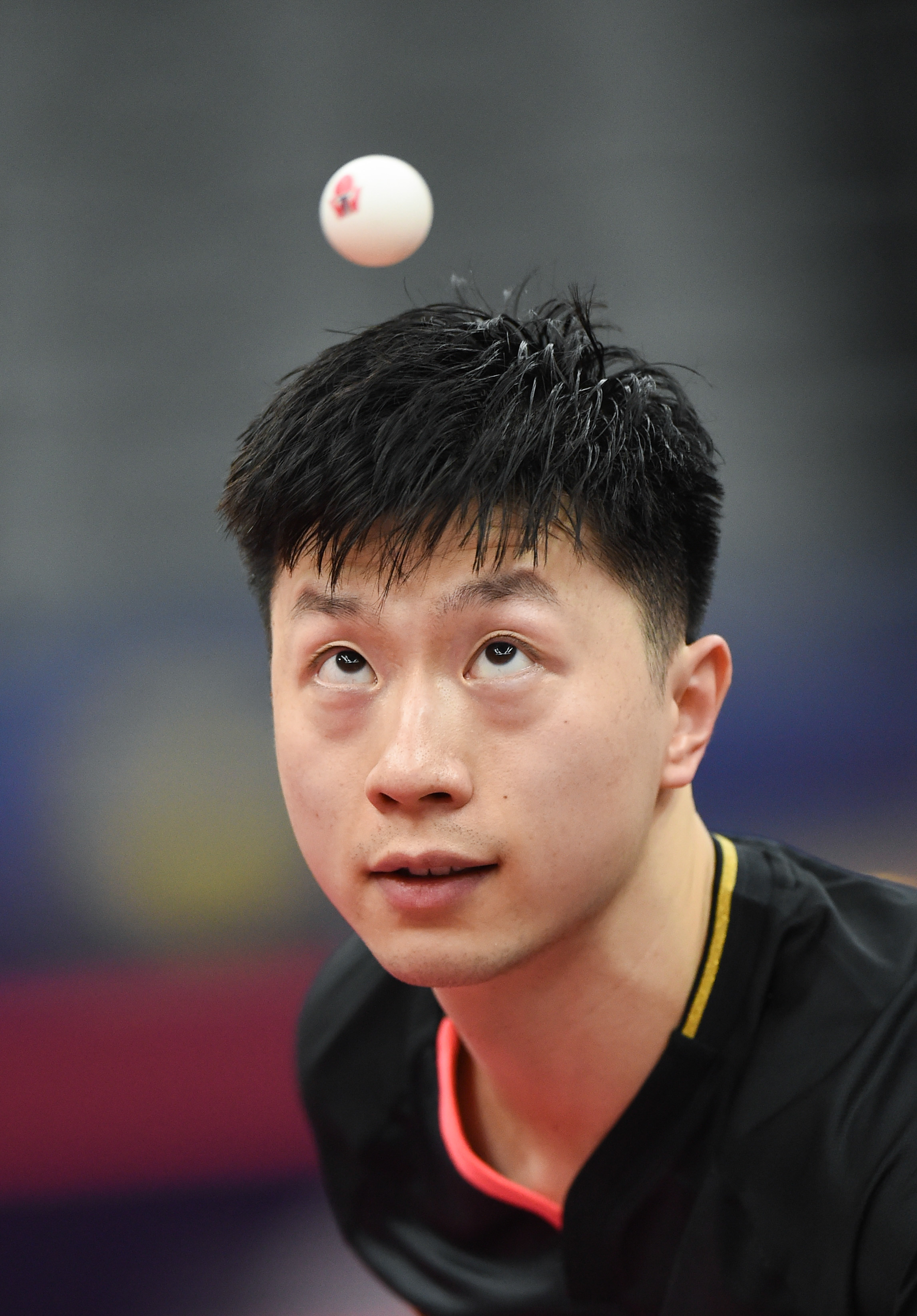 2019年3月29日    (体育)(2)乒乓球——卡塔尔公开赛:马龙首轮晋级