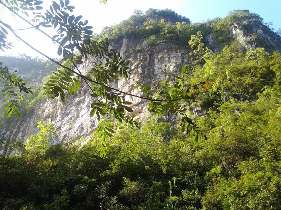 潭獐峡在大自然的鬼斧神工之下,两岸山岩形态万千的自然景观