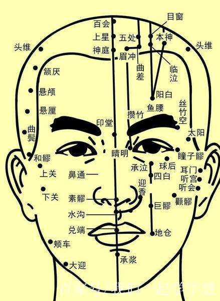 承浆的准确位置图 baijiahao.baidu.com