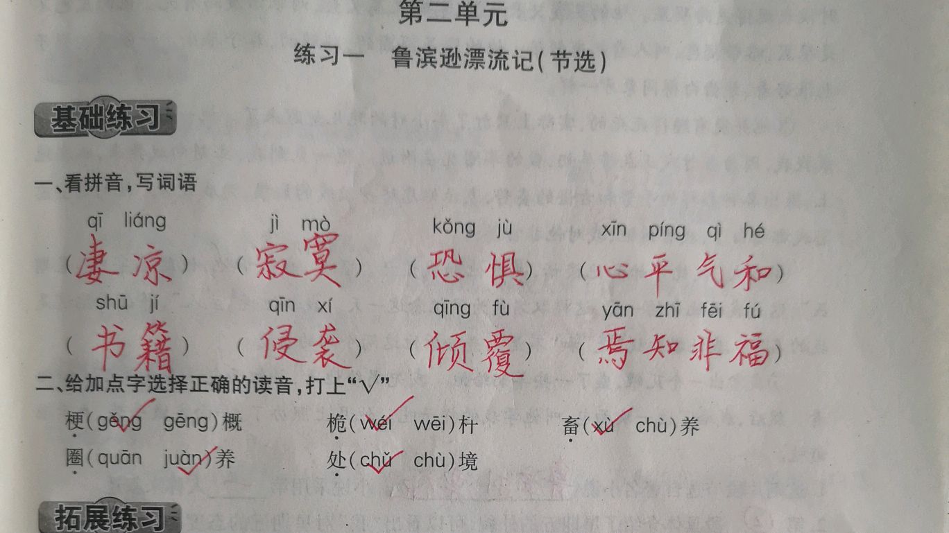 六下《鲁滨逊漂流记》,课外习题练习,这几个多音字很容易读错