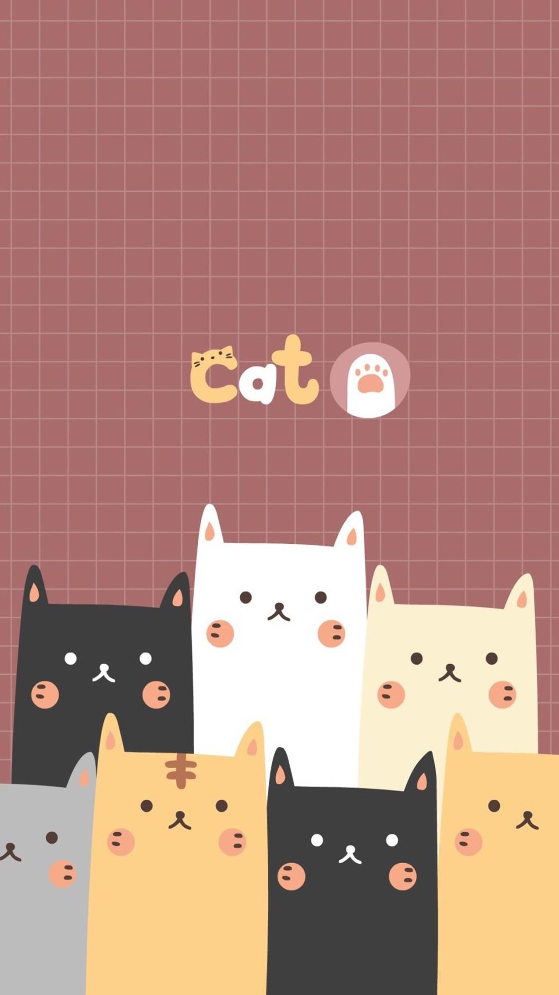 超萌卡通喵咪壁纸:戳进来一起撸猫吧,每一张都有一个小可爱