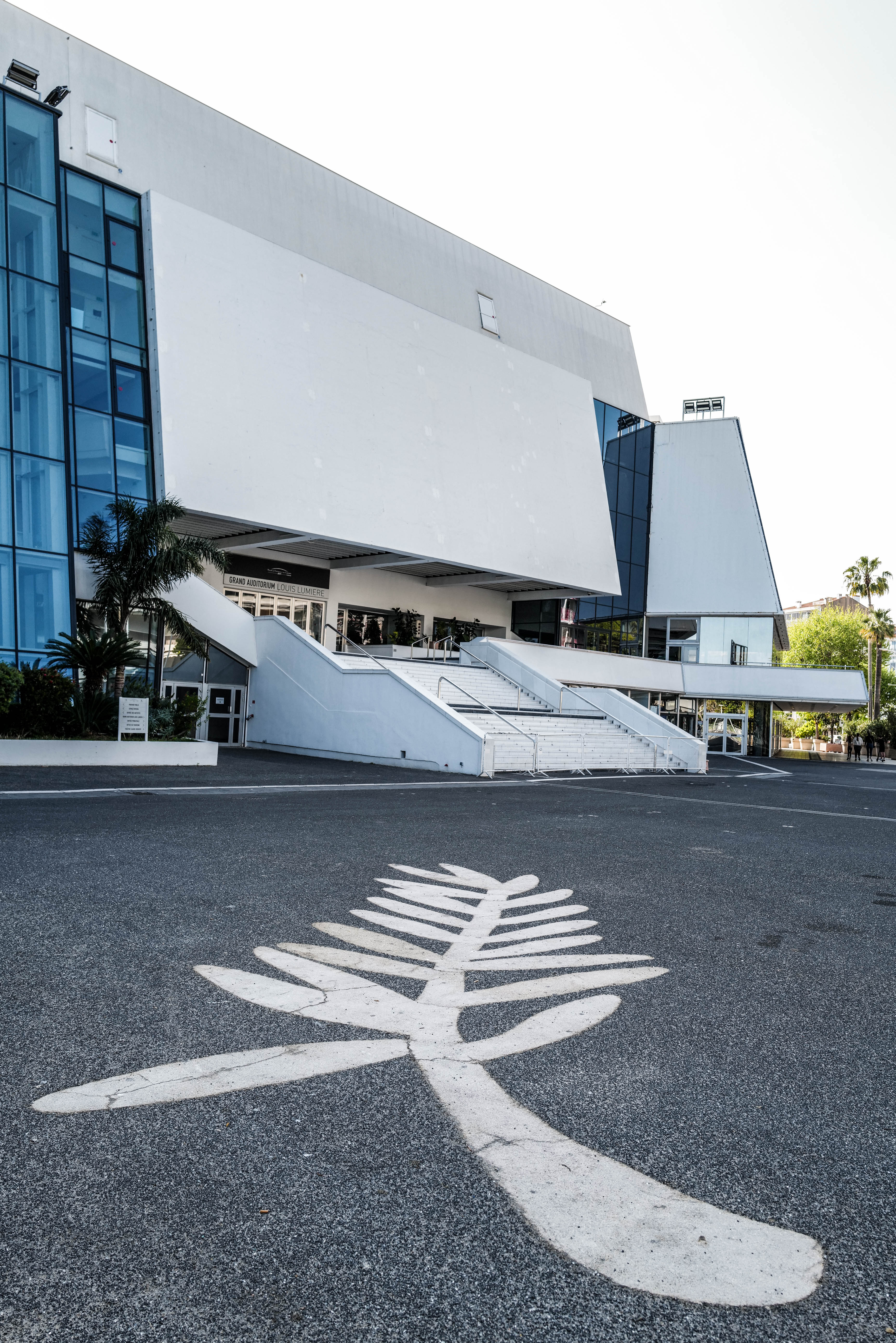 第73届戛纳电影节将不会以原有形式举行(7)