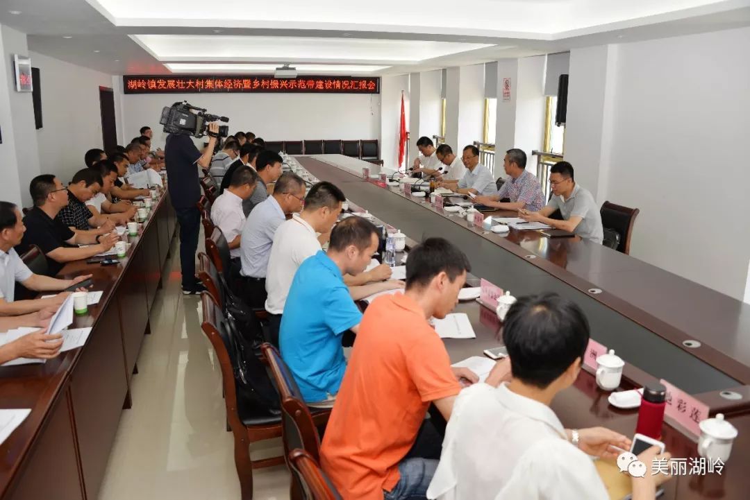 【振兴动态】陈胜峰调研村级集体经济发展和乡村振兴示范带建设