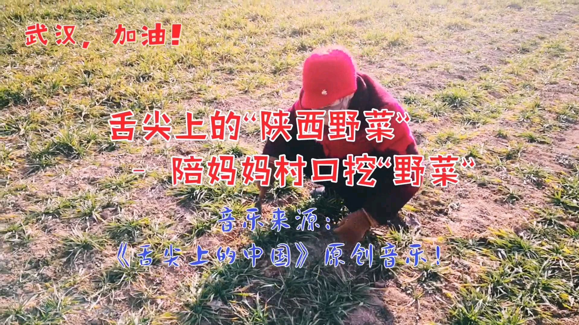加油武汉!舌尖上的“陕西野菜”陪妈妈村口挖野菜(道法自然篇)