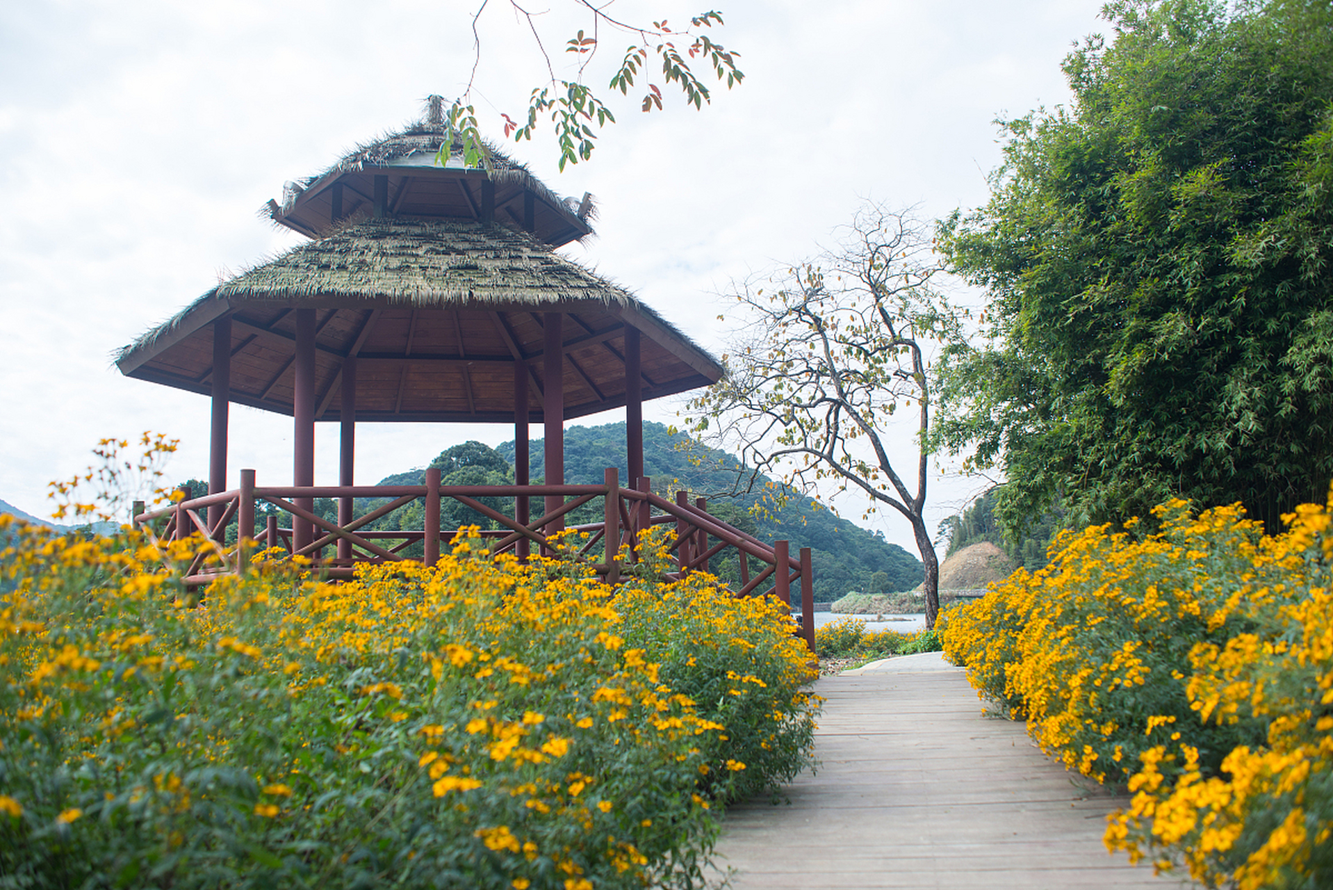 上周末,我终于踏上了心心念念的南京游子山休闲旅游区之旅.