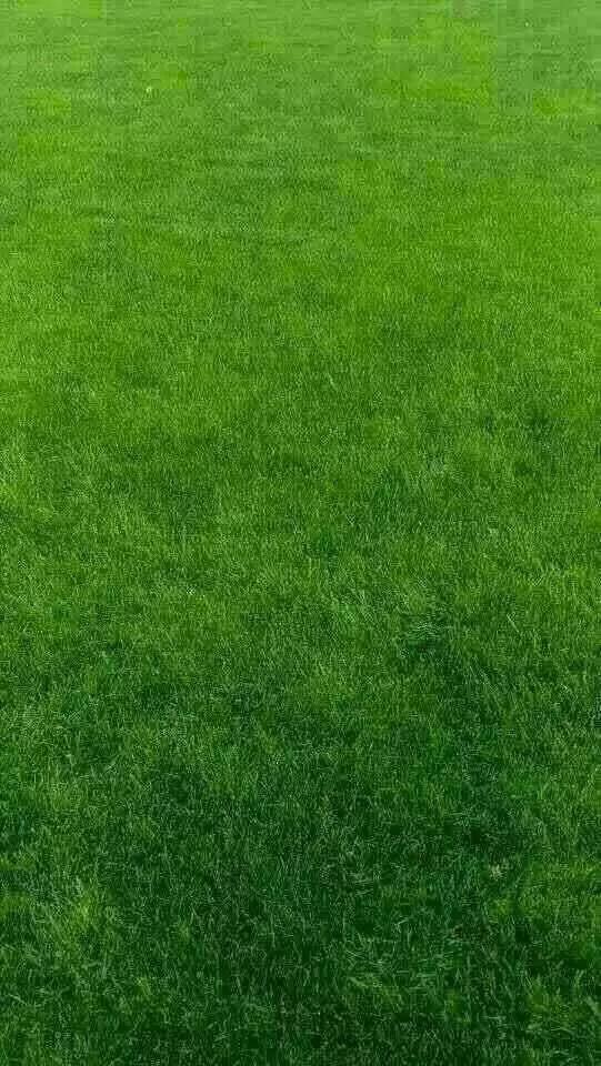 541_960竖版 竖屏