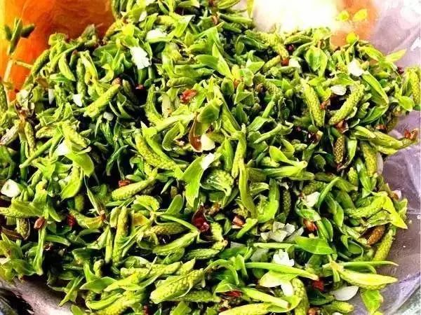 柳芽不仅美味,好处也是一大把,各种吃法必须收藏!