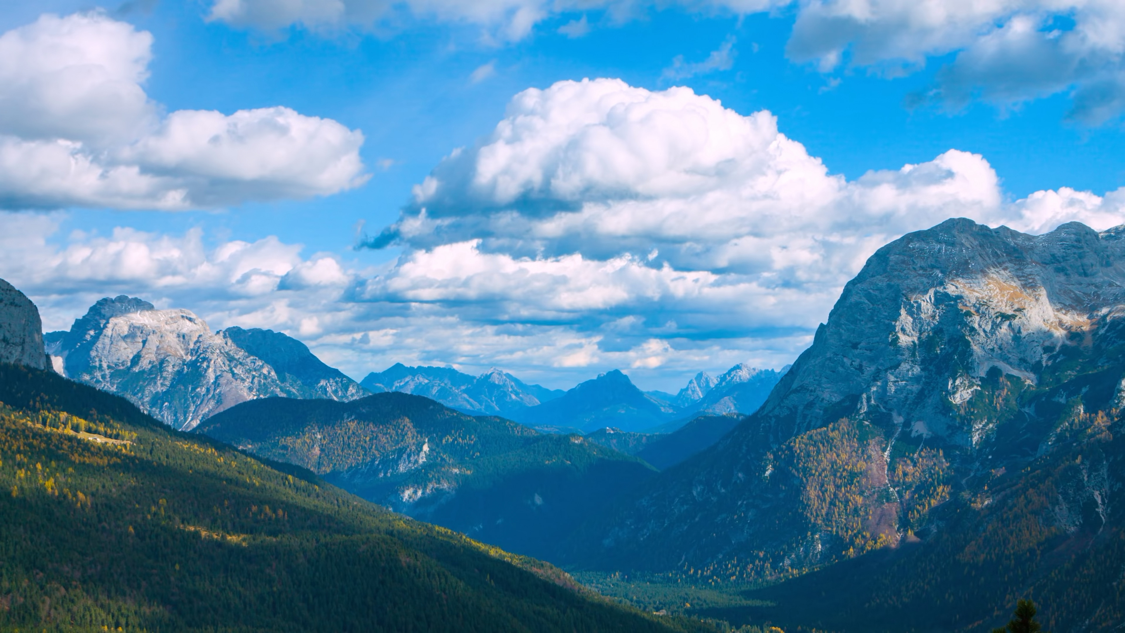 茂盛的树林 转载自百家号作者:看风景看图集