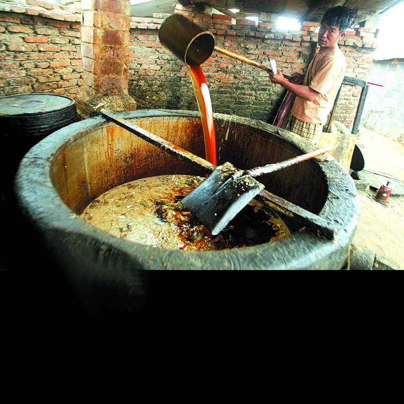 泔水潲水怎么样处理才可以猪