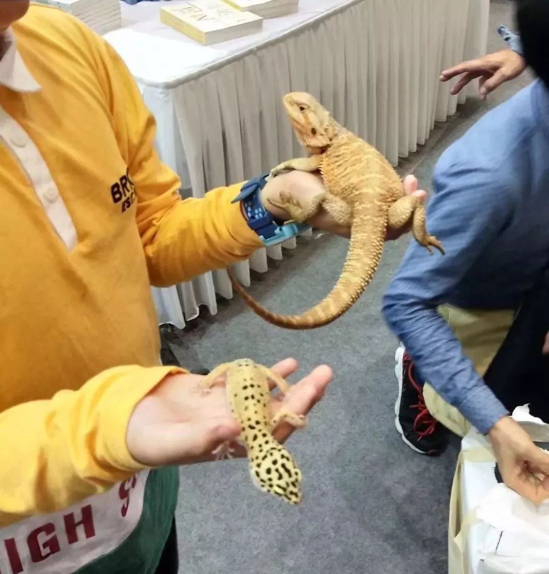 《森林密语》从身边的森林出发记录了我们城市周边的丛林