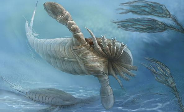 史前最"恐怖"的4种生物:最后一个张嘴有3米,比恐龙还可怕!