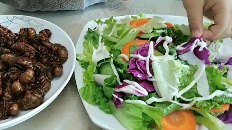 颜值超高的家庭蔬菜沙拉,简单,营养又减脂!赶紧动手做起来!