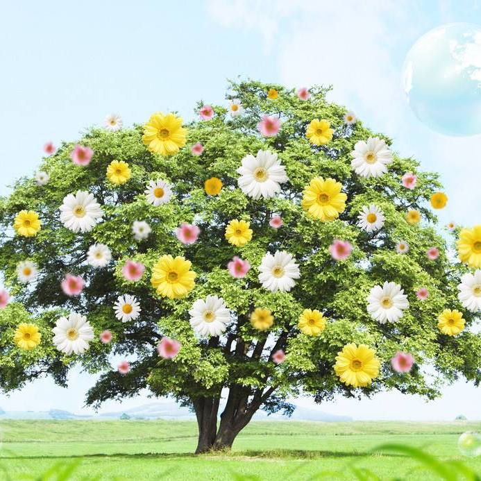 王伟忠:有些话蔡康永在台湾不敢说,但在内地综