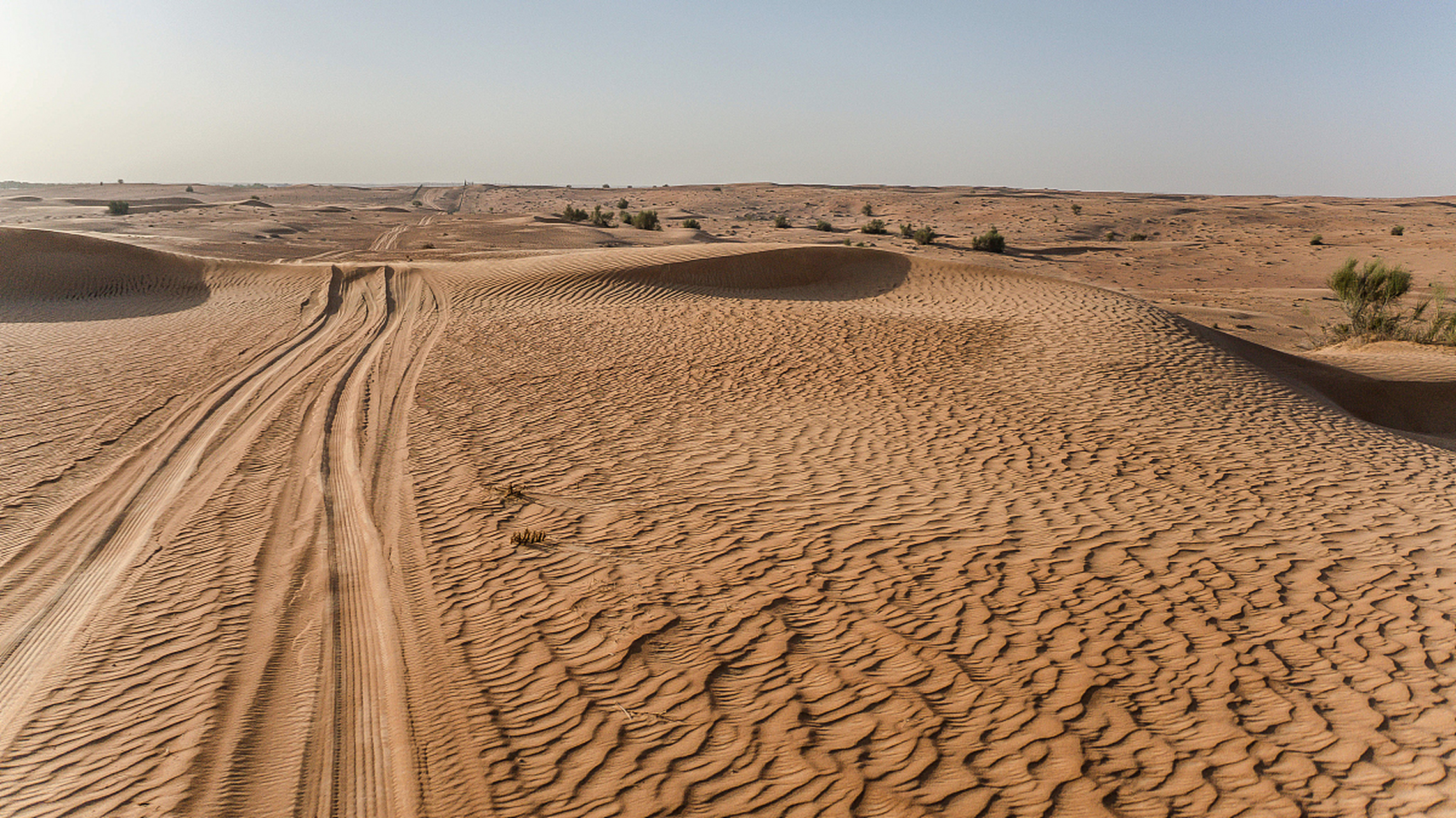 科学漫谈# 全球沙漠化趋势及其对人类的影响 沙漠化