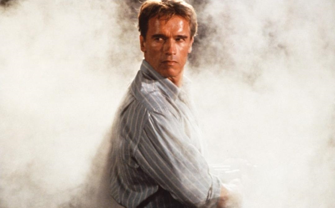 经典电影推荐之《真实的谎言》