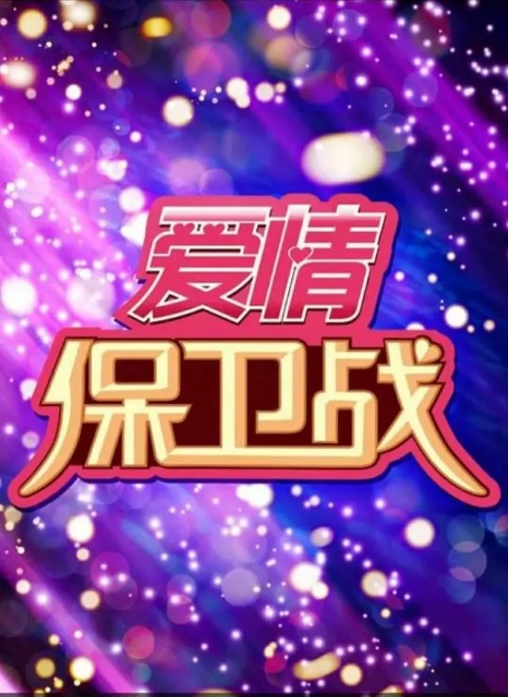 爱情保卫战logo图片