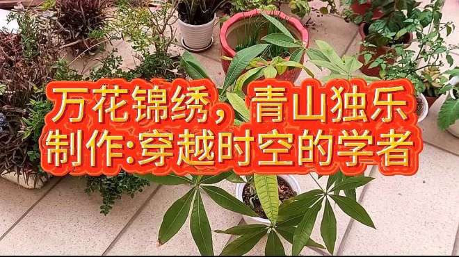 [图]诗赋：万花锦绣，青山独乐，花园诗大合集，值得收藏