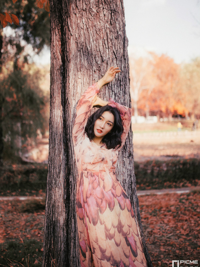 美图摄影:秋悄无声息的到来 叶依依不舍的离开!