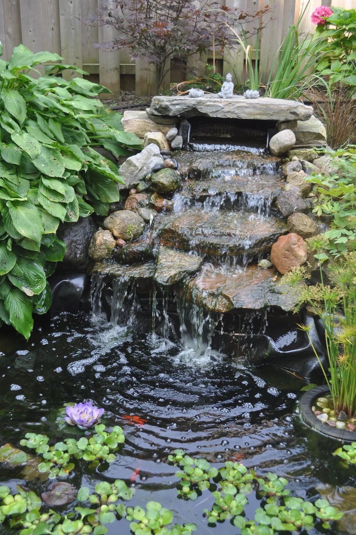 小庭院水景设计实景图片