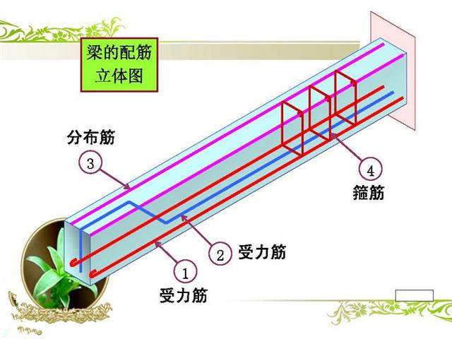 钢筋两肢箍四肢箍图解图片