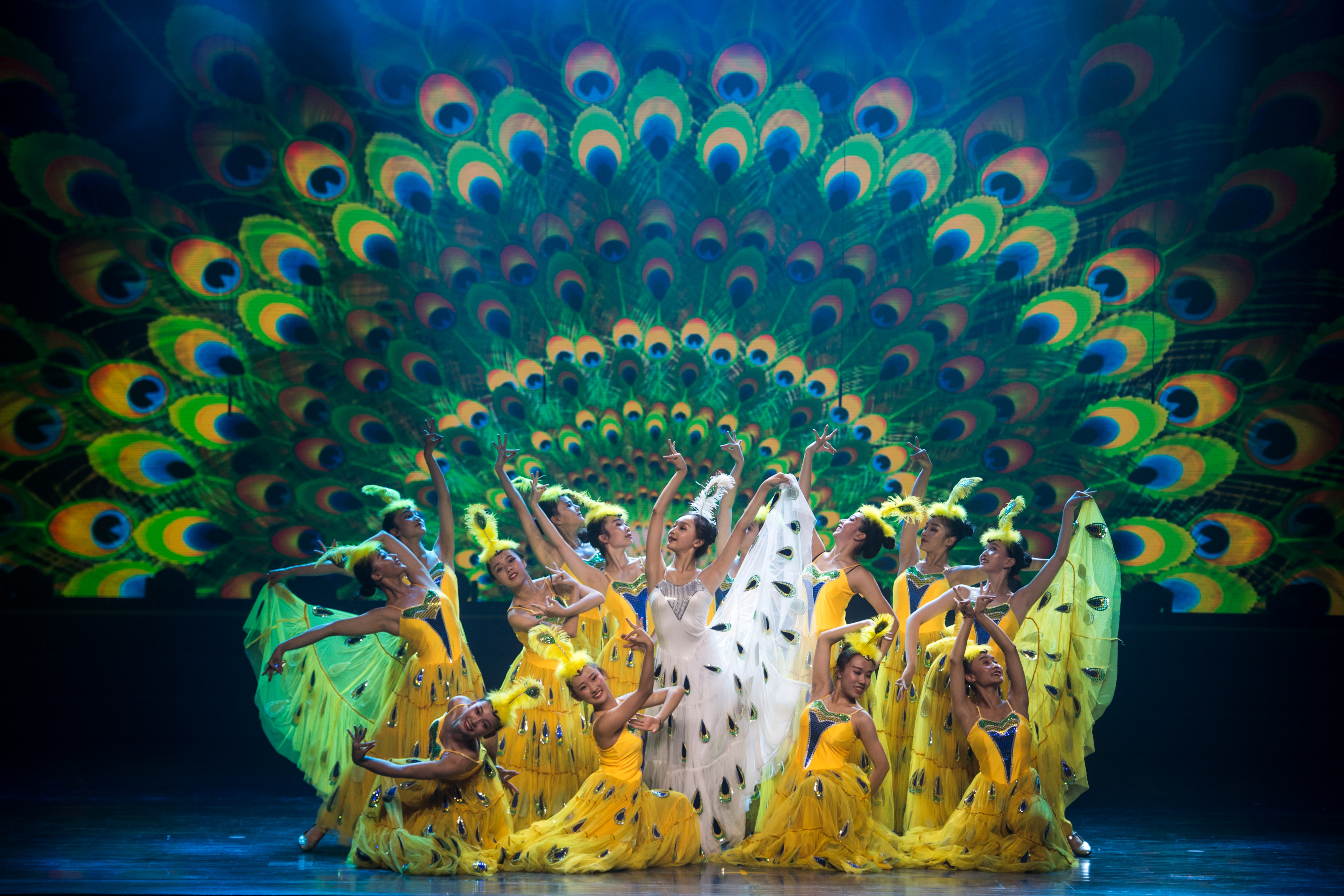 云南玉溪举行"聂耳杯"合唱展演颁奖晚会(3)