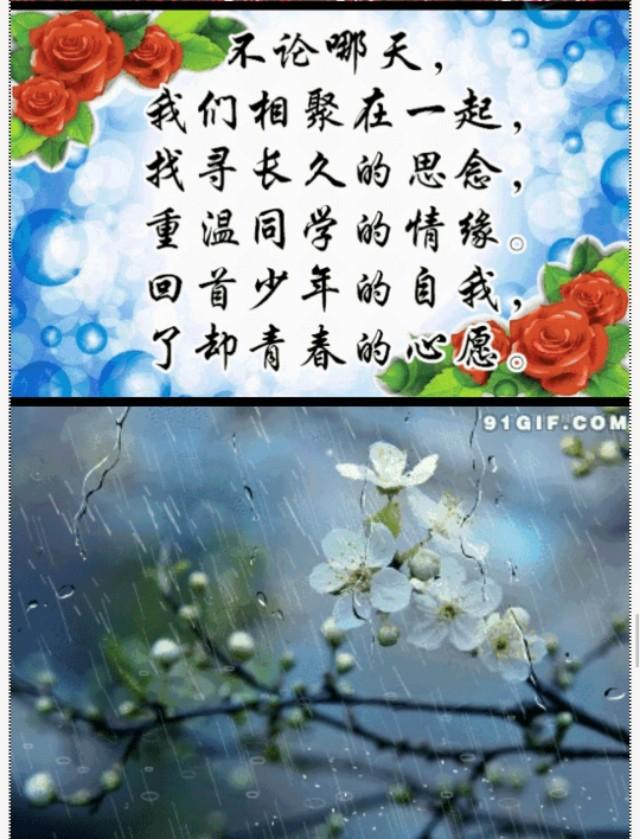 一口老酒,一声兄弟,一声同学,一份关切,一声珍重,一句祝福!