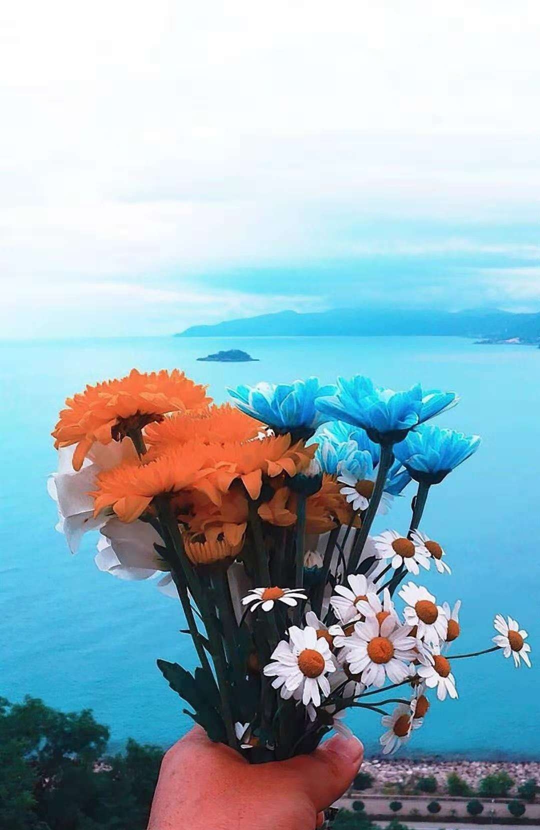 精美早安心语,温暖舒心,美好的一天从这里开始!