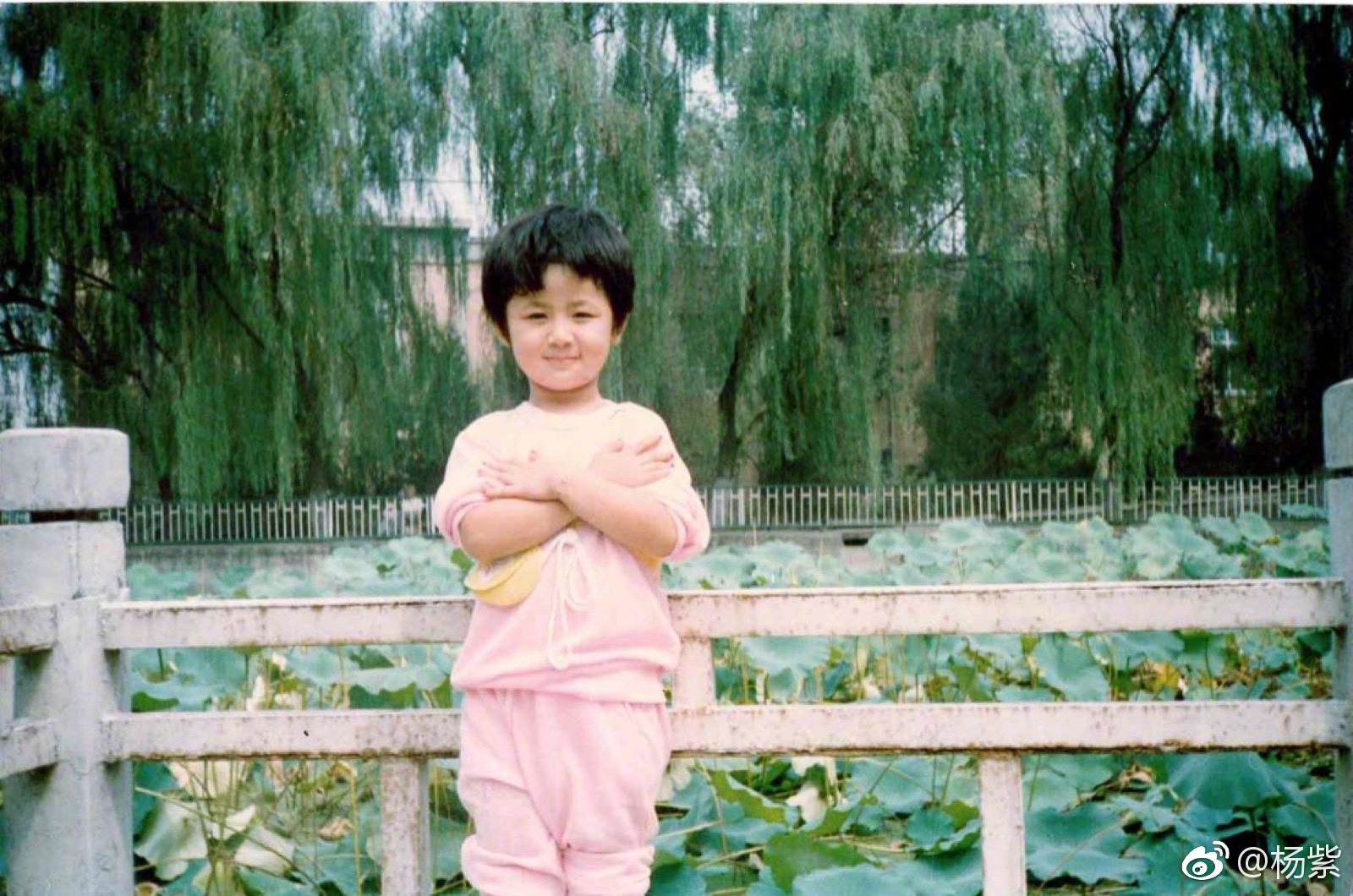 赵丽颖,杨紫,关晓彤,迪丽热巴,谢娜童年旧照,差距太明显了!