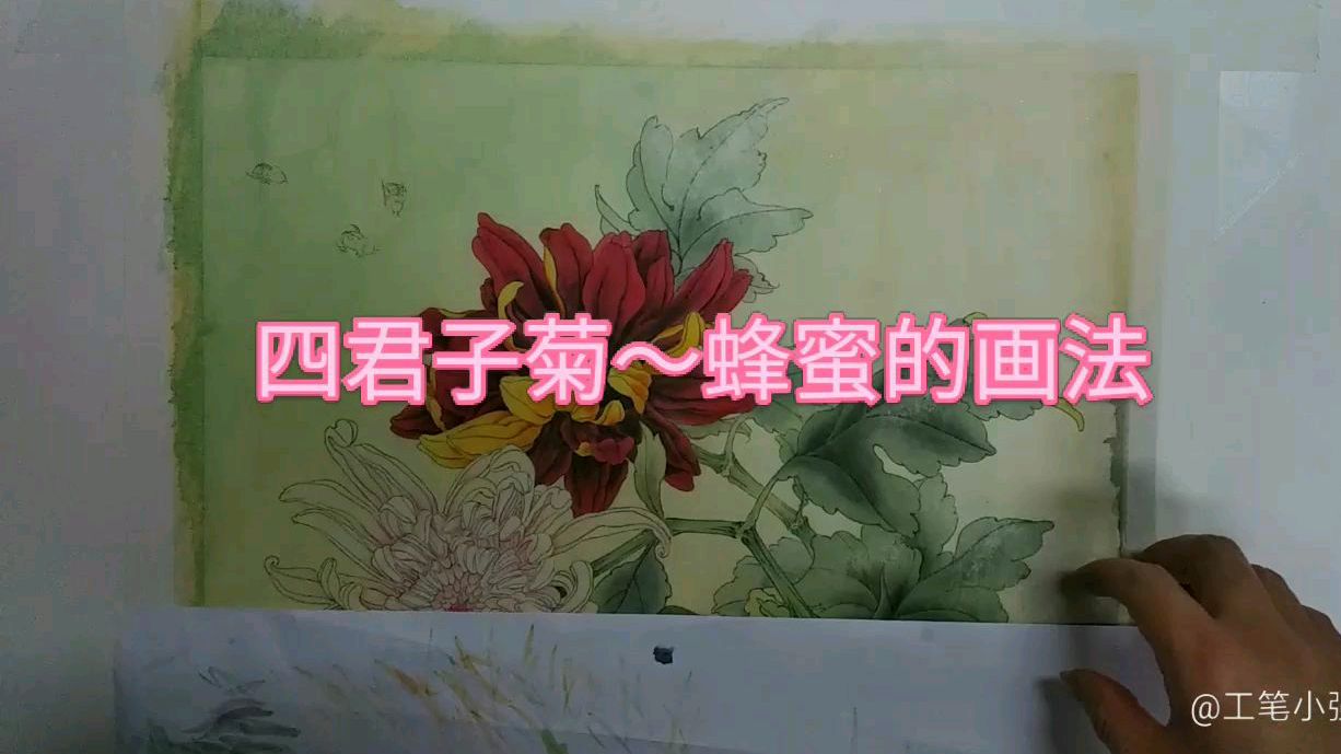 初学工笔画:工笔小强和你一起绘制四君子菊(蜜蜂的画法)