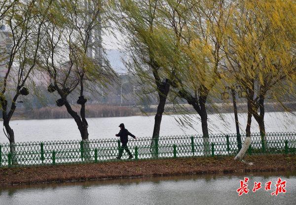 阴雨绵绵天气图片