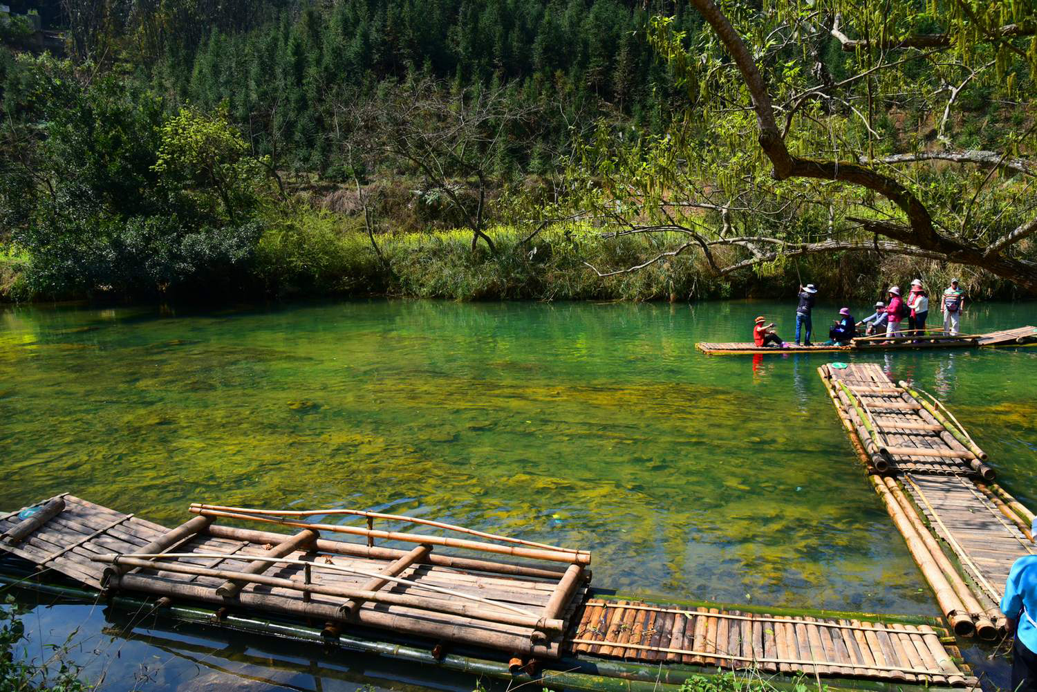 云南罗平多依河风景区