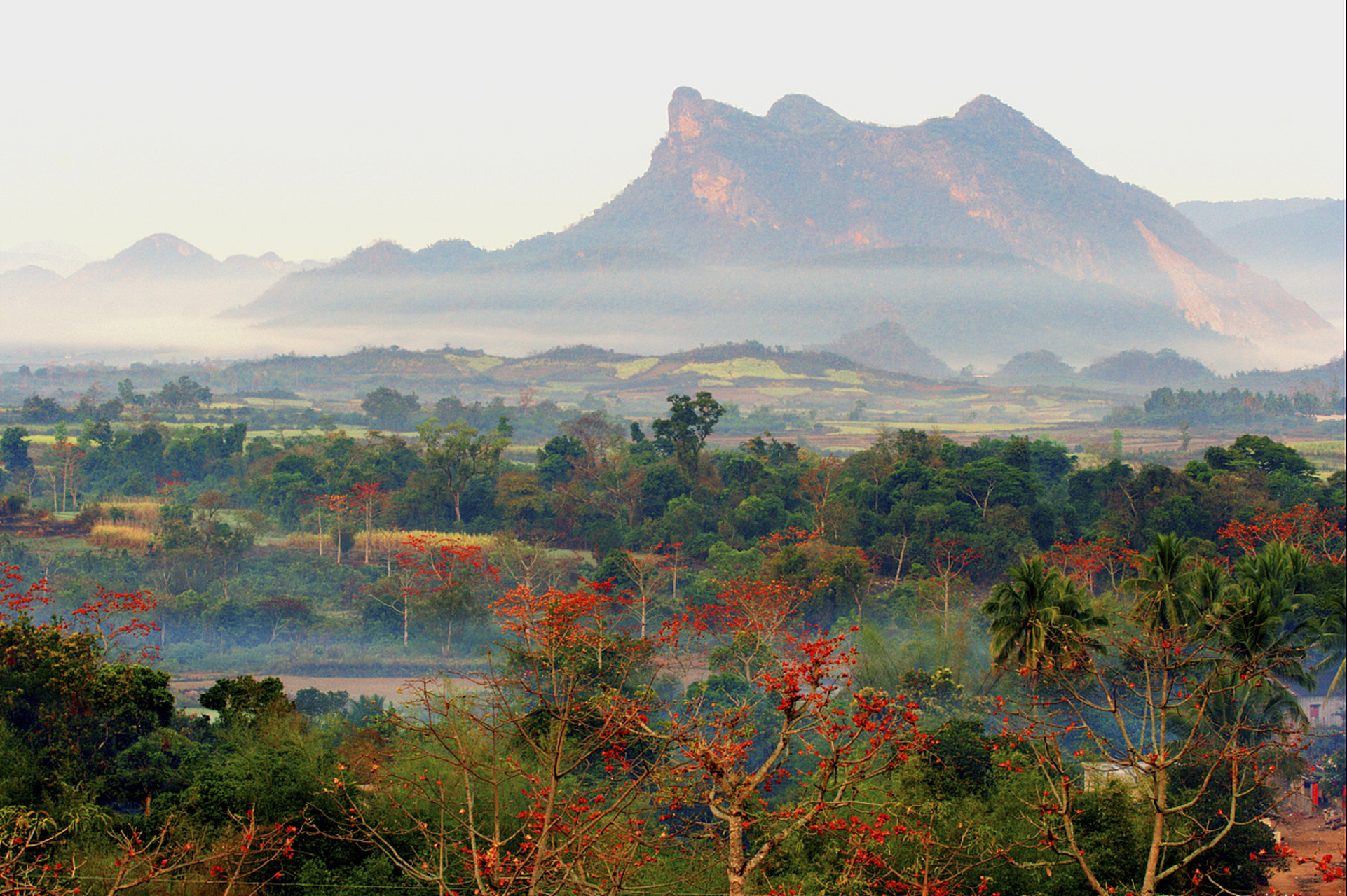 海南肺叶——海南中部山区  海南岛的中部,分布着大片山脉,它们占据了