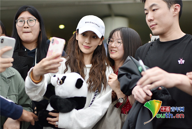 angelababy抱玩偶甜笑迷人 开心营业与粉丝大合影