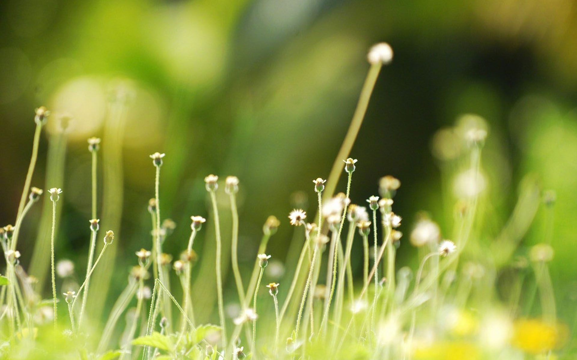 耐人寻味的经典语录,简洁明了,深入人心!