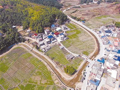 上杭县蛟洋镇塘厦村投入资金千万元建设美丽乡村