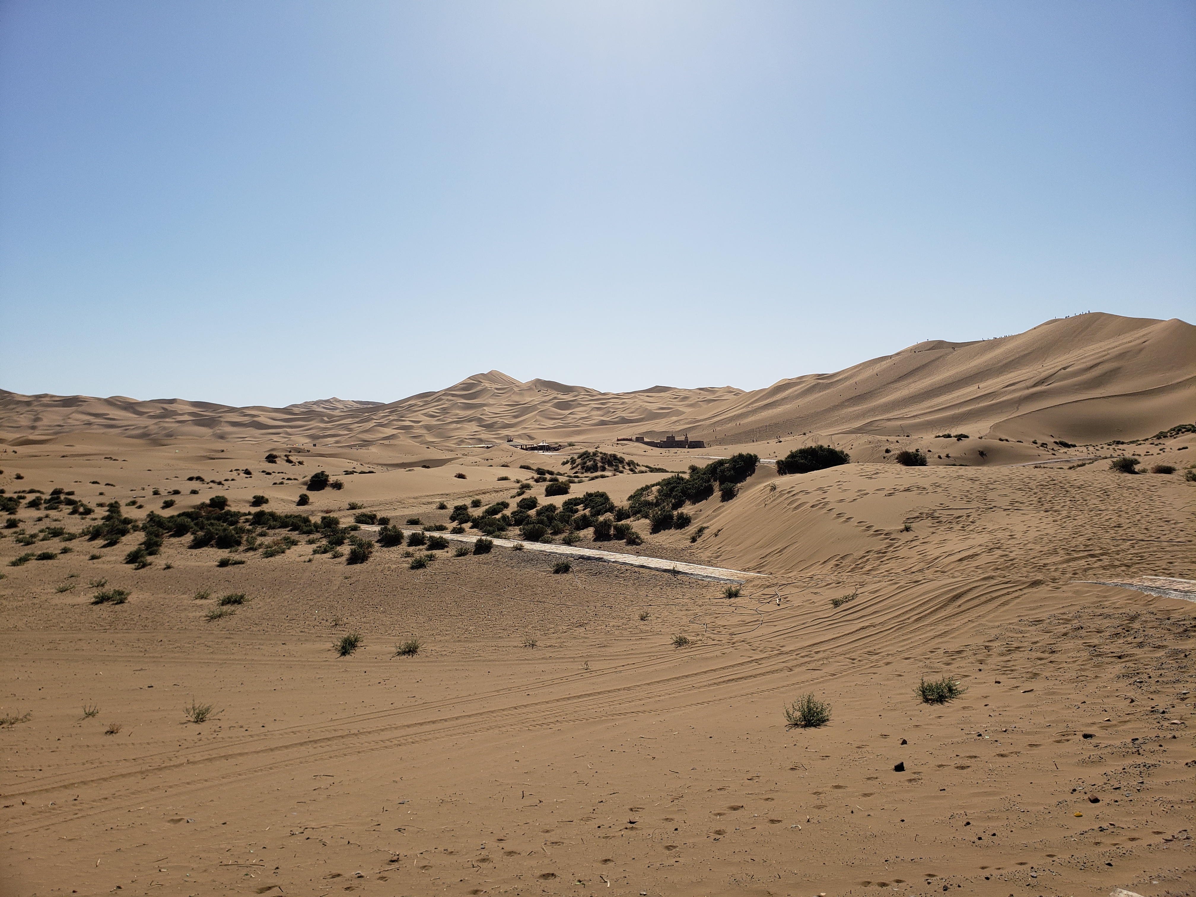 世界上少有的与城市"零距离"接触的沙漠