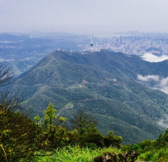 梧桐山 baijiahao.baidu.com