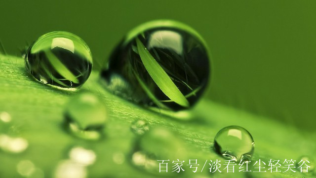 有深度内涵的图片(有深度有内涵的图片)