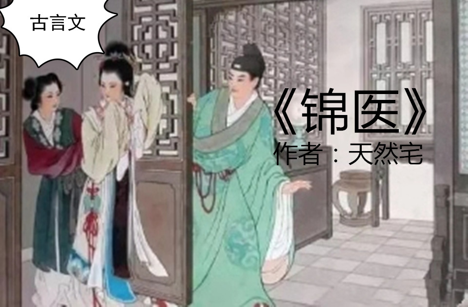 《錦醫》《秦樓春》《御帝術》《權相嫡女》《乞兒嫡妃》驚豔來襲