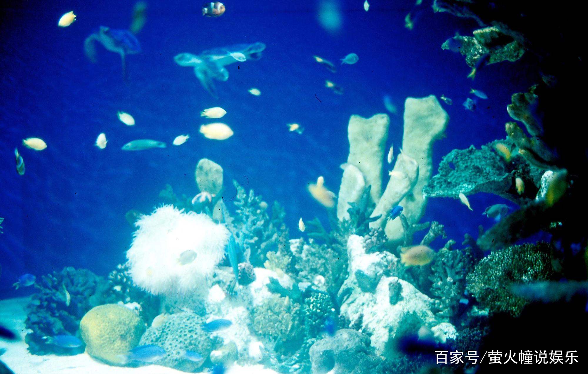 澳洲旅行最值得去的地方(澳洲旅行最值得去的地方排名)