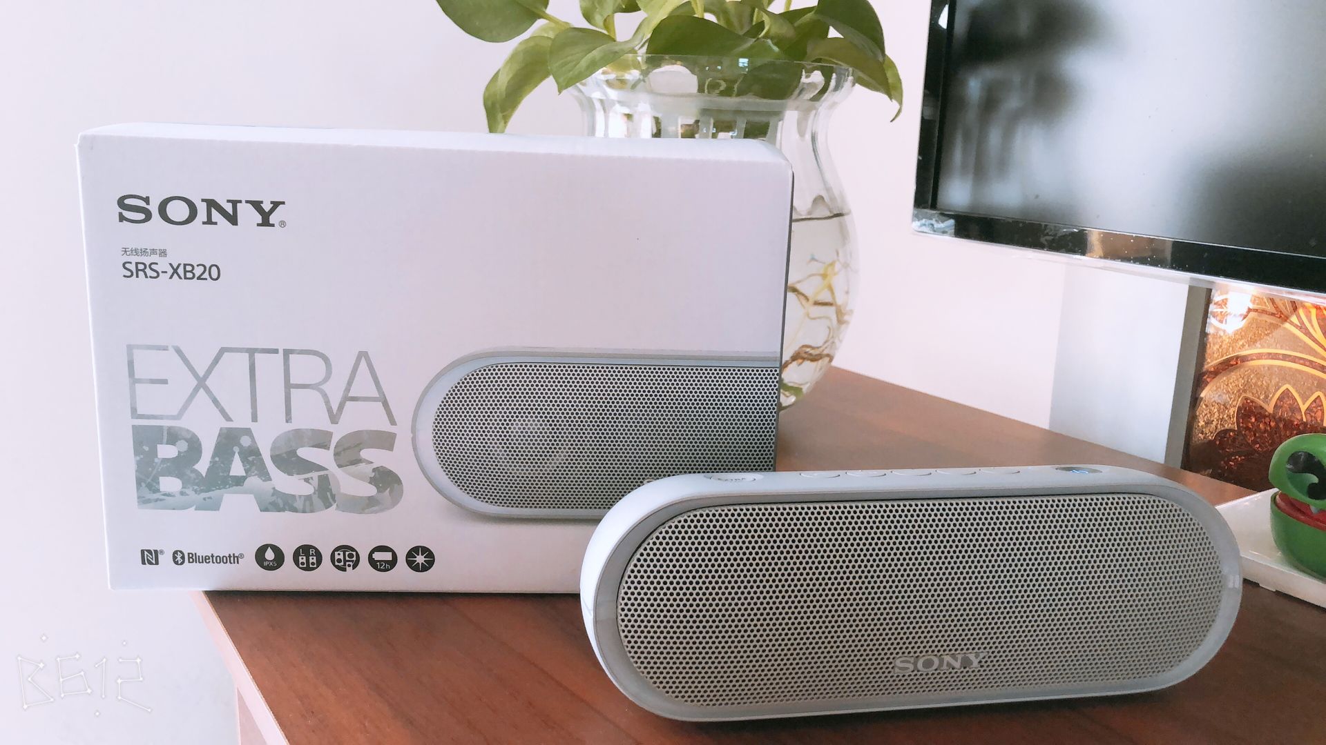 新入手索尼srs-xb20,是否真的是颜值与音质共存?