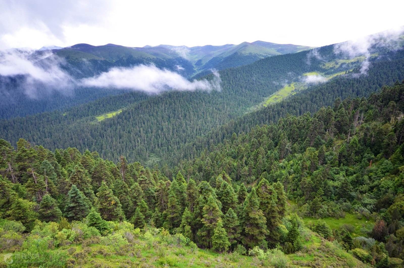 来林芝旅游,到这四个景点一趟,保准让你流连忘返