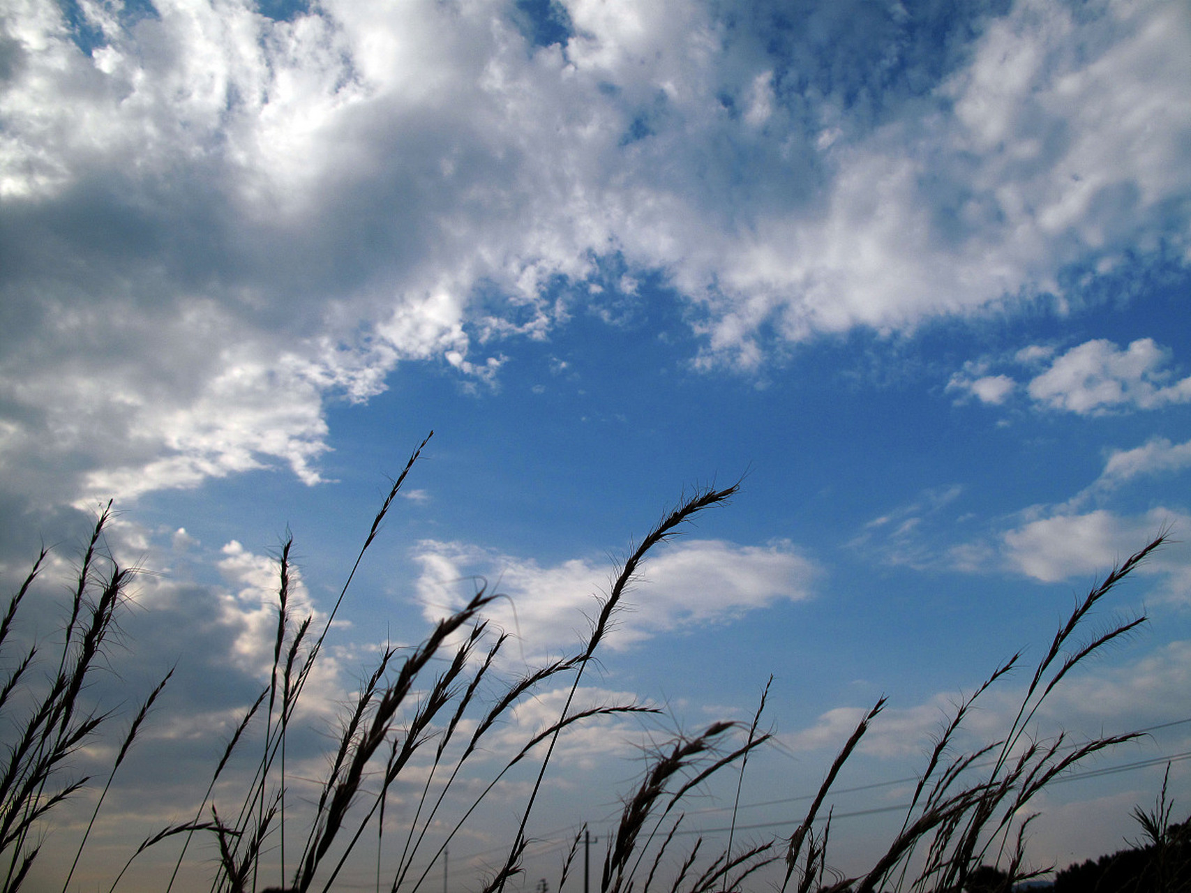 但心中仍怀有期盼与希望:未来幸福或许正悄然走来?