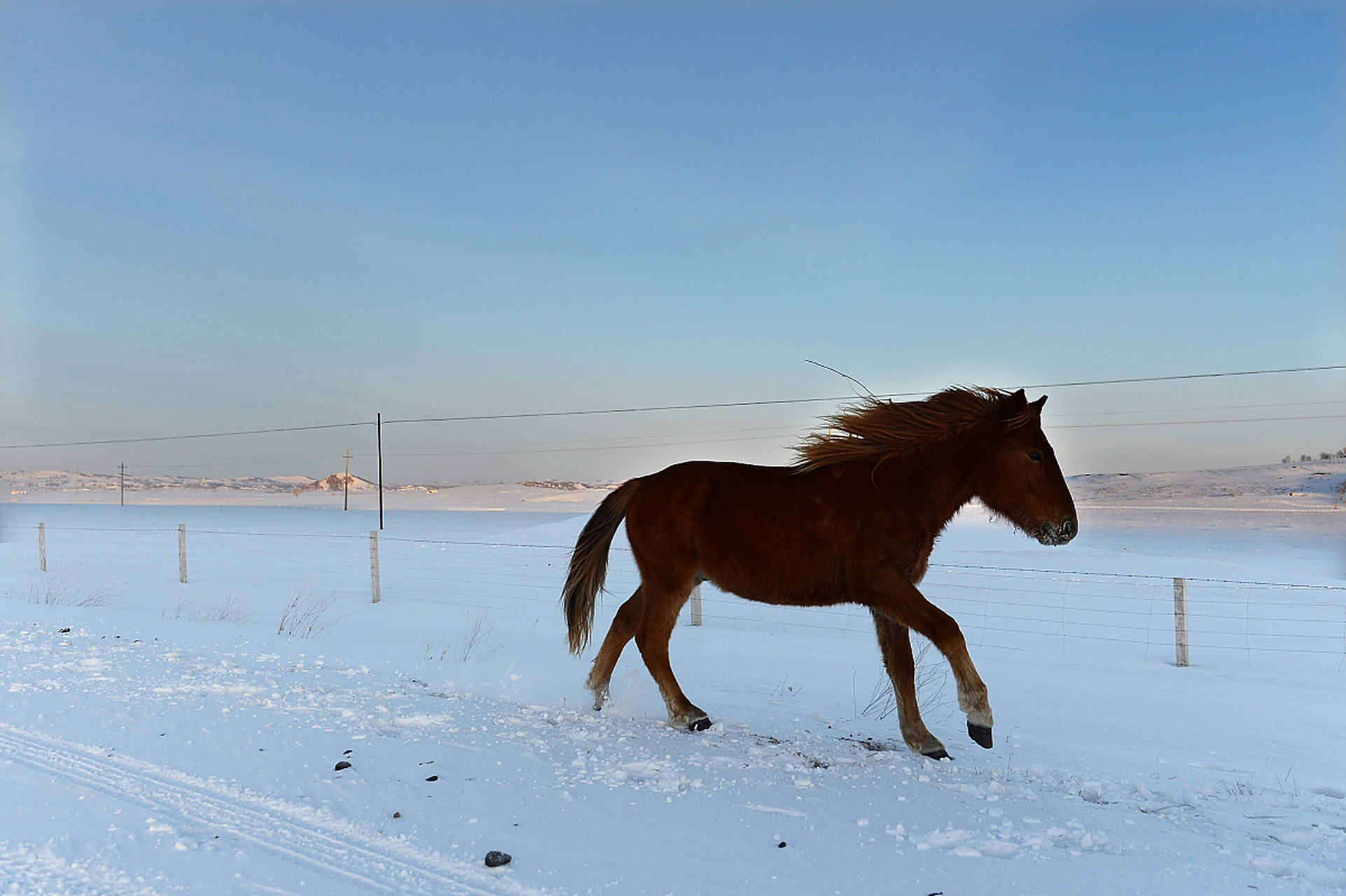 人最可贵的是认识自己  雄鹰在蓝天下翱翔,马儿在草原上奔跑,鱼囤在