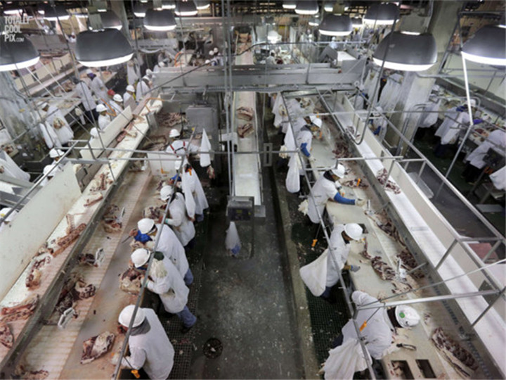 19世纪末期,美国食品业问题严重,特别是肉类加工厂?