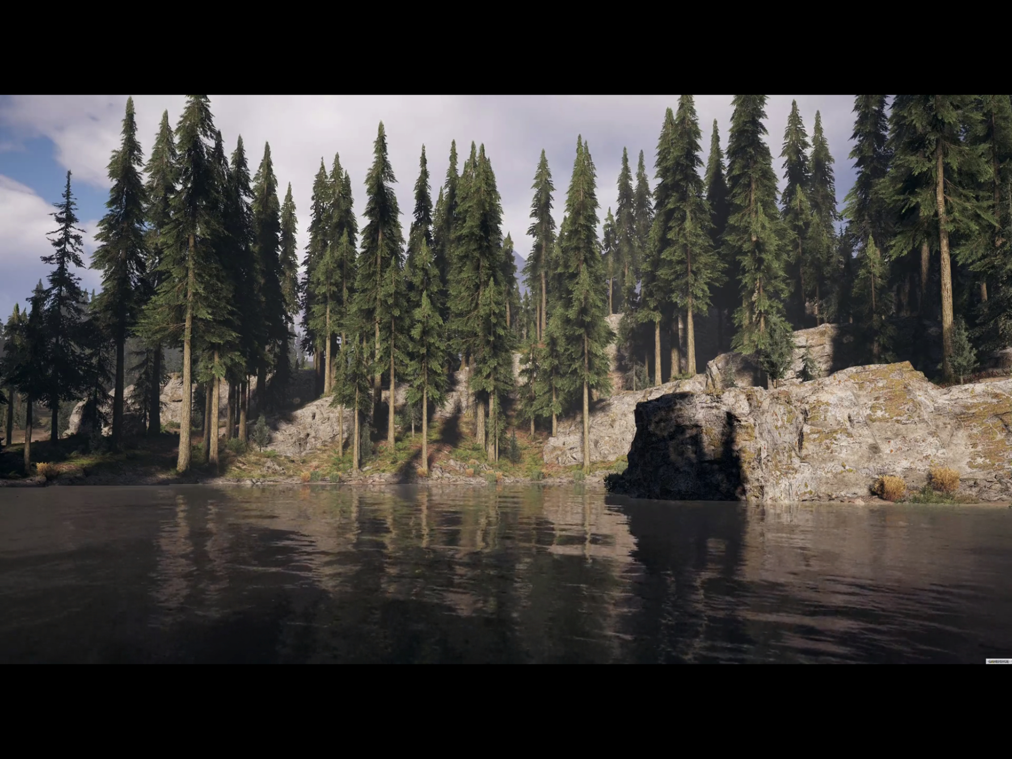 游戏里的风景,4k分辨率下的《孤岛惊魂5》带你畅游蒙大拿州