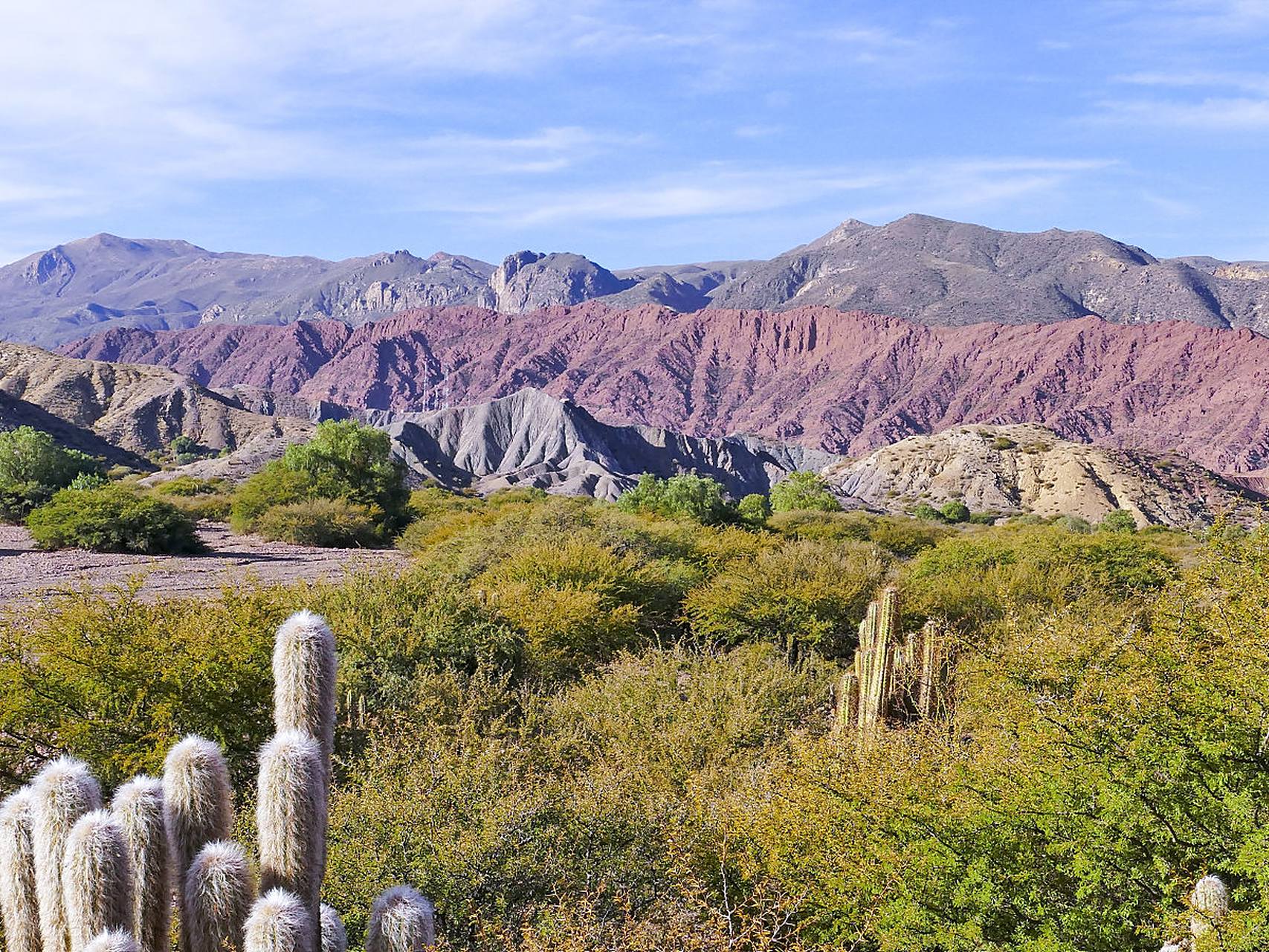 奇遇那拉提#位于新疆吐鲁番市昭苏县境内的那拉提刀把山风景区,是